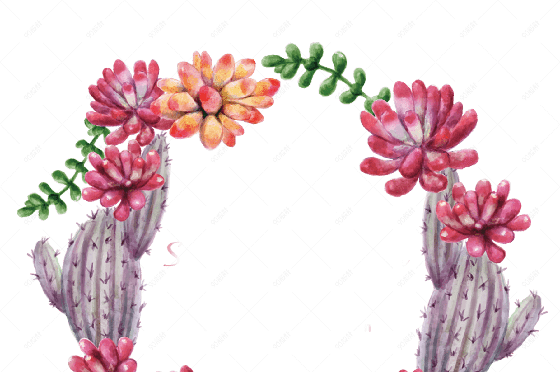 手绘水彩多肉植物