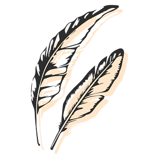 羽毛图案图片大全