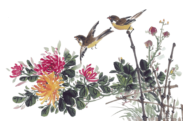 中国风水墨花鸟背景素材png