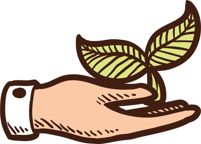 手植物图片大全