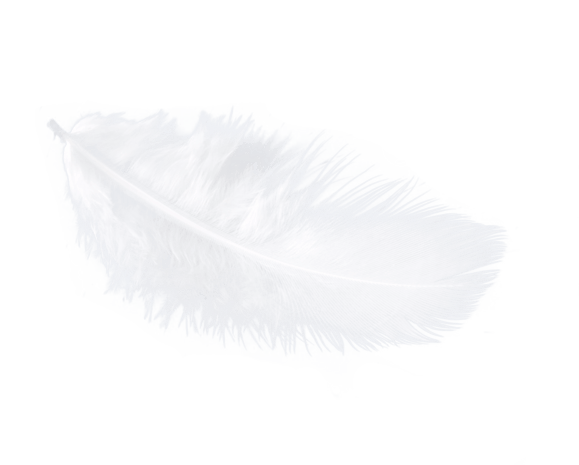 白色羽毛模板