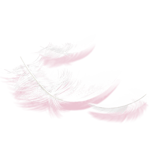 粉色羽毛