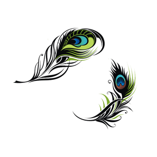 矢量手绘精美孔雀羽毛