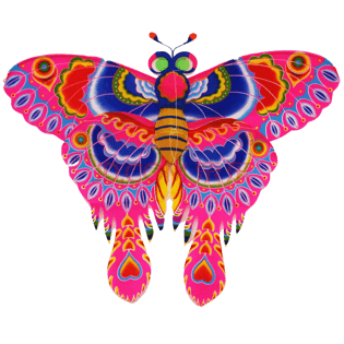 图案对称图片大全