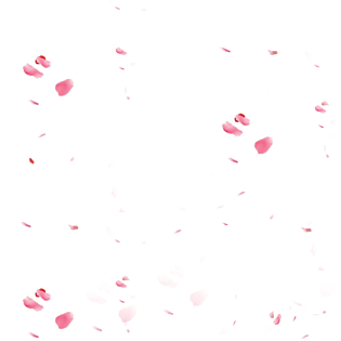 粉色花瓣飘落图片大全_粉色花瓣飘落图片素材【png免费下载】-90设计