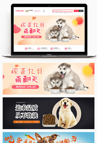 可爱风格日常需求宠物用品全屏海报