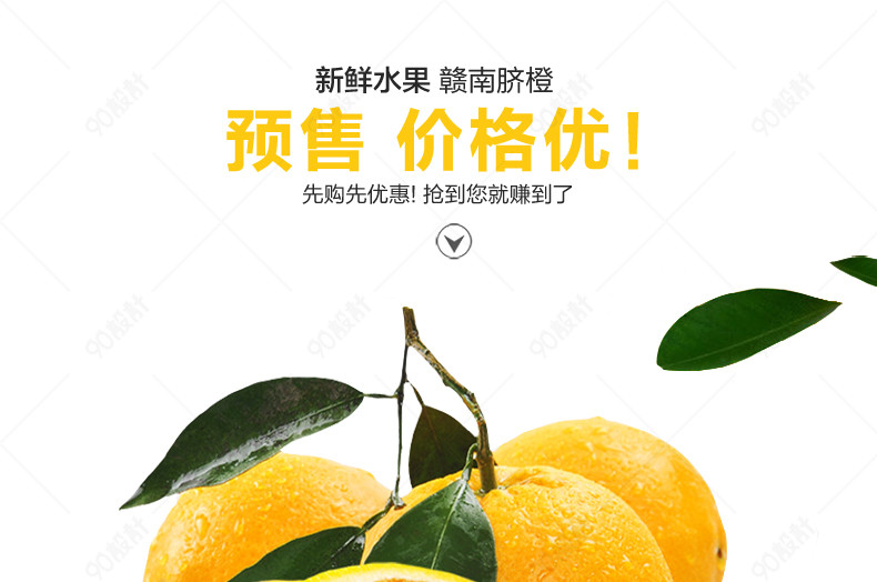 赣南脐橙详情页橙子源文件通用 