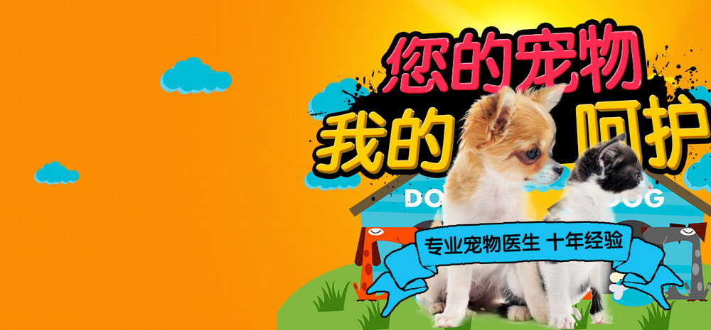 唯美卡通简约时尚宠物猫狗用品狗粮全屏海报