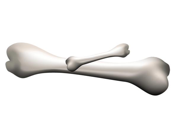 骨头手绘图片大全