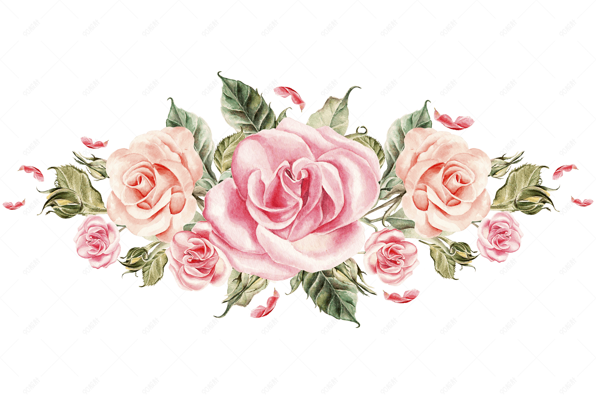 手绘粉色玫瑰花簇