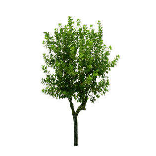 ps素材图片大全