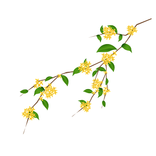 卡通中秋节传统桂花枝植物元素