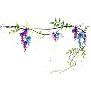 彩色藤蔓图片大全