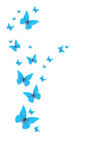 卡通一群企鹅一群蝴蝶一群动物一群新年矩形卡通一群猫卡通水管剪影