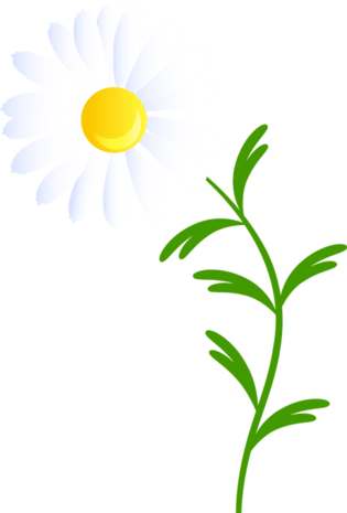 png素材pngpsd2000*2000秋天卡通插画菊花小雏菊卡通插画素材pngpsd