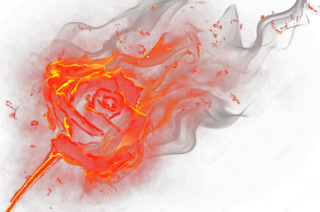 火焰玫瑰花素材