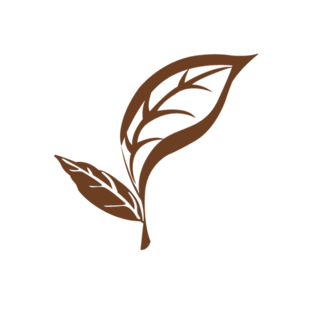 茶叶png图片大全