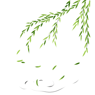 春天柳枝图片大全_春天柳枝图片素材【png免费下载】-90设计网