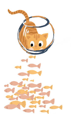 初夏暖色鱼缸里的猫咪