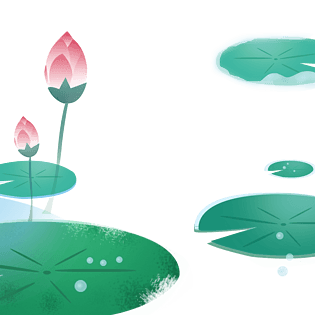 立夏绿色荷叶粉色荷花池塘边