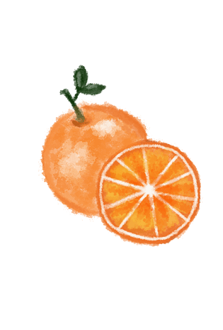 橘子手绘图片大全
