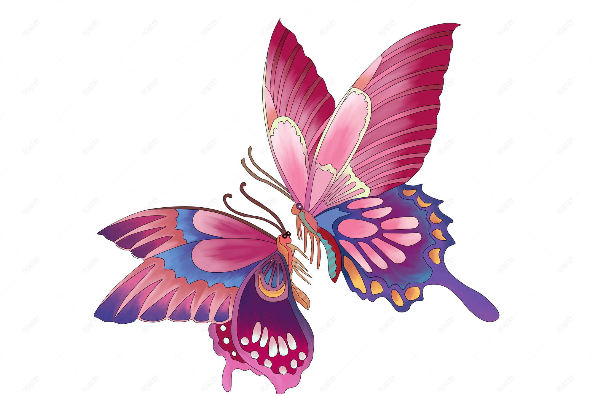 春夏彩色蝴蝶飞舞玩耍的动物