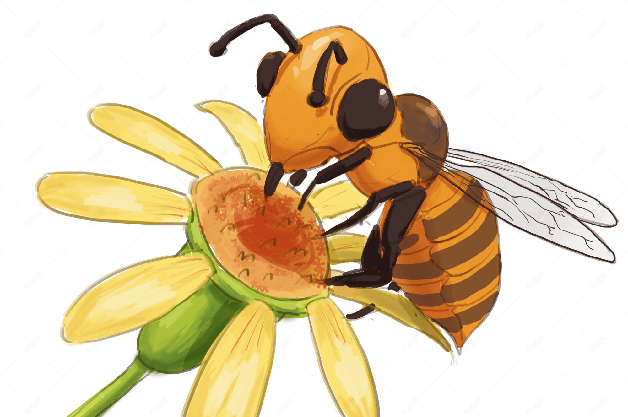 春夏勤劳的蜜蜂采蜜黄色花朵手绘