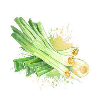 春夏水彩葱炒菜配料调味菜