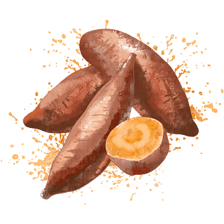 芒种丰收的农作物红薯pngpsd2000*2000红薯红薯红薯干地瓜红薯手绘