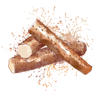 春夏水彩山药营养菜肴