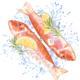 春夏水彩生鲜新鲜鱼肉