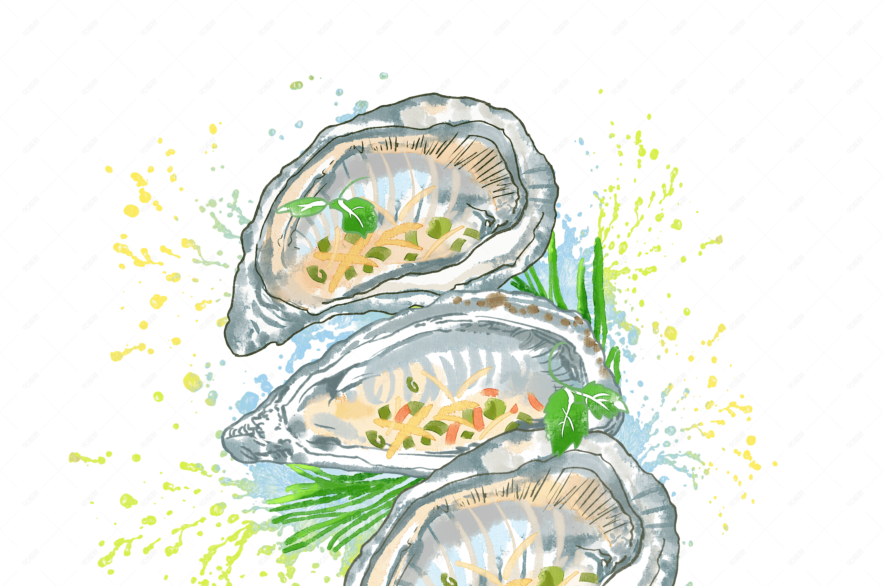 春夏水彩新鲜生蚝贝壳海鲜美食