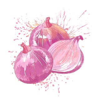 洋葱png图片大全