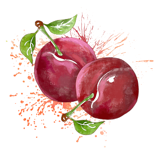 pngpsd2000*2000卫生健康图标pngpsd2000*2000手绘李子pngpsd默认格式