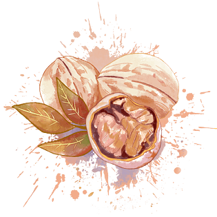 碎核桃图片大全