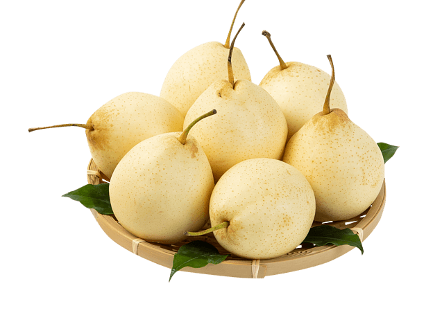 梨素材图片大全