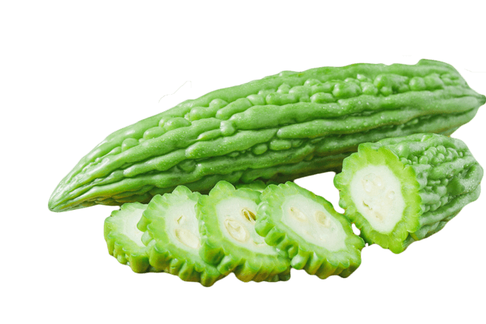 苦瓜手绘图片大全