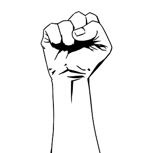 手握拳图片大全