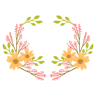 满天星花图片大全