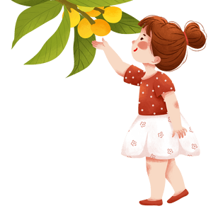 小满手绘摘枇杷的女孩