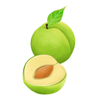 芒种绿色青梅水果装饰