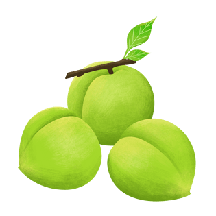 芒种三个青梅水果装饰