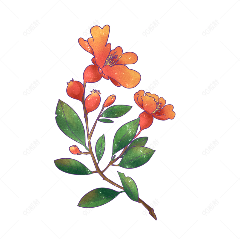 夏至红色石榴花开红色花朵 免抠元素png 90设计网