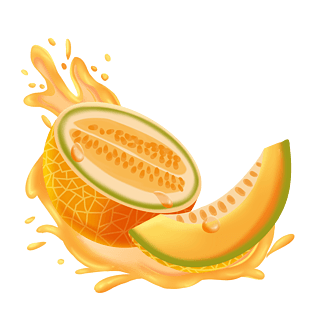 手绘花草中式手绘哈密瓜新鲜水果哈密瓜天空卡通手绘线稿手绘面包手绘