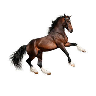 骏马免抠png素材