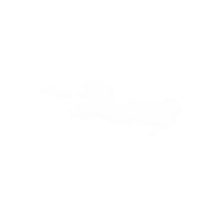 透明png图片图片大全