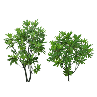 植物绿叶免抠png图片