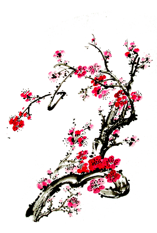 中国风元素梅花图片大全