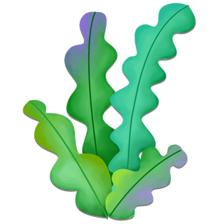 卡通手绘海带png元素