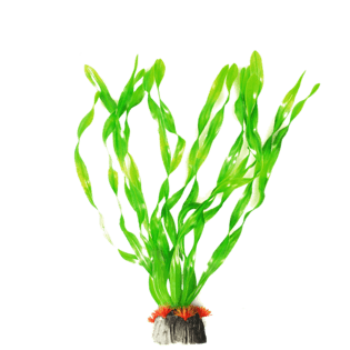 卡通手绘海带png元素